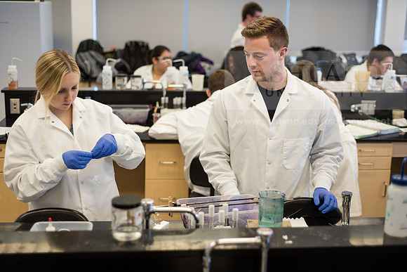 Microbiology Class - Dr. Paul Hyman