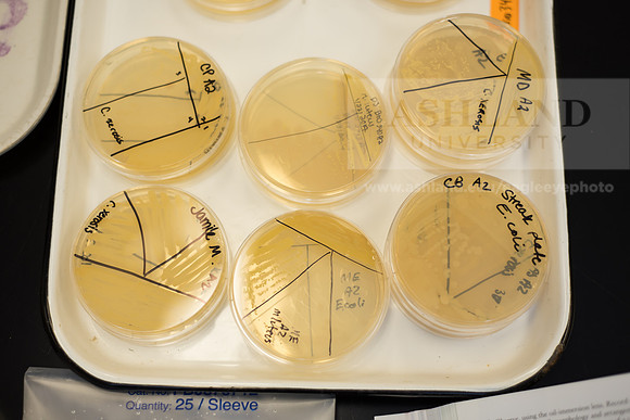 Microbiology Class - Dr. Paul Hyman