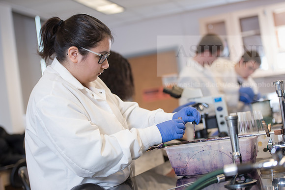 Microbiology Class - Dr. Paul Hyman