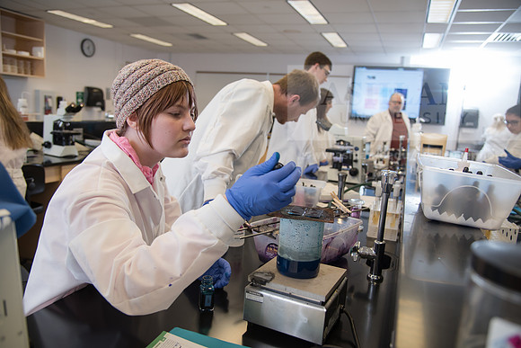 Microbiology Class - Dr. Paul Hyman