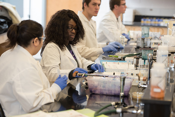 Microbiology Class - Dr. Paul Hyman