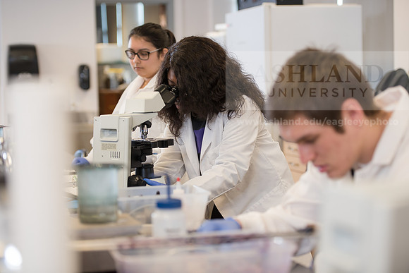 Microbiology Class - Dr. Paul Hyman