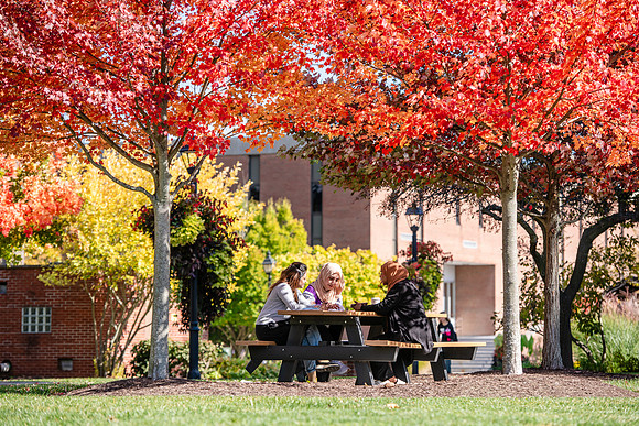 FallCampusLife1024AWB_5931