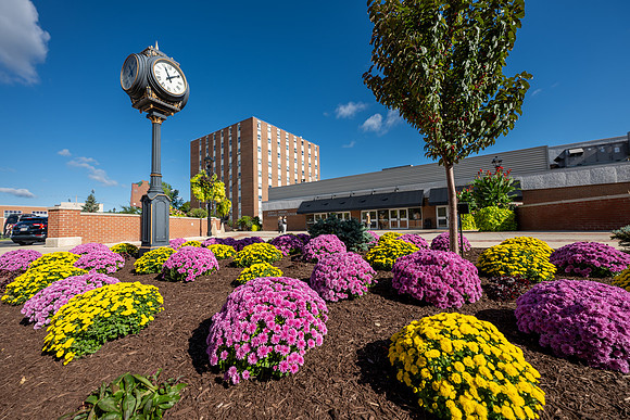 CampusBeautyPurpleYellowMums1025AWB_8913