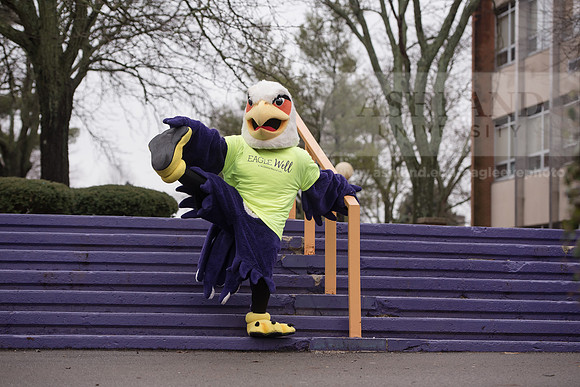 Tuffy - Campus Wellness Program