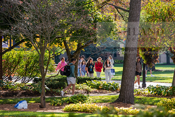 FallCampusLife1024AWB_5479