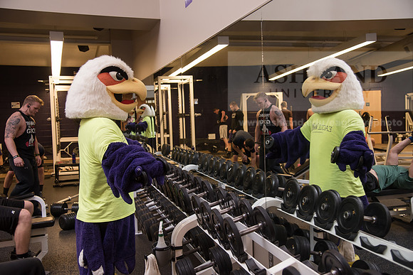 Tuffy - Campus Wellness Program