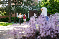 FacultyStudentEngagementHinkel0625AWB_3221