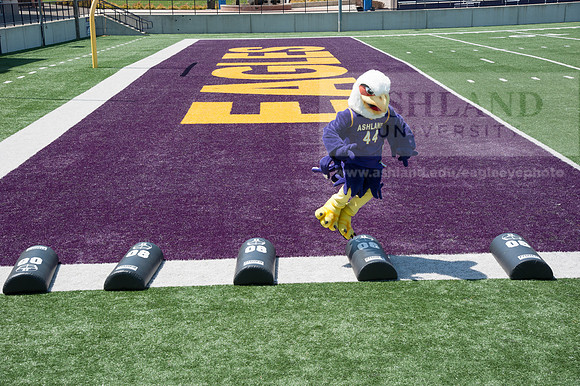 Tuffy Preparing for Marathon
