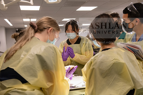 PAProgramCadaverLab1221ALW_3640