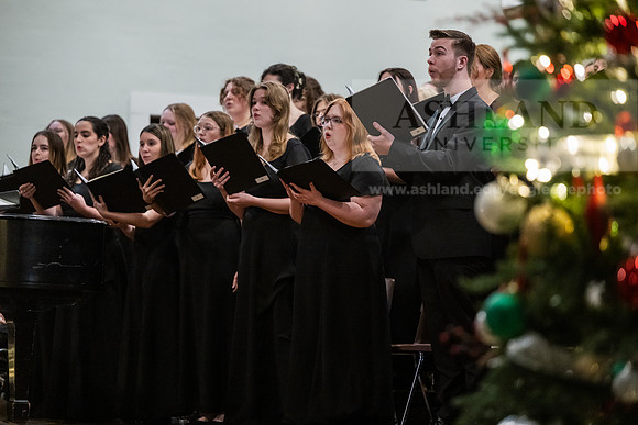 FestivalofLights1225AWB_7109