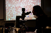 ToxicologyNiedermier1225AWB_8082