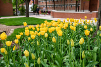 Students and Campus Landscape, SP 2025