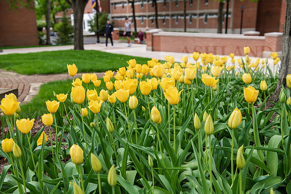 SpringCampusFinalsWeek0425AWB_0441