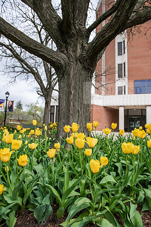 SpringCampusFinalsWeek0425AWB_0455