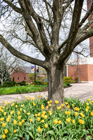 SpringCampusFinalsWeek0425AWB_0453