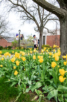 SpringCampusFinalsWeek0425AWB_0461