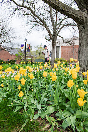 SpringCampusFinalsWeek0425AWB_0461