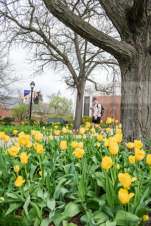 SpringCampusFinalsWeek0425AWB_0458