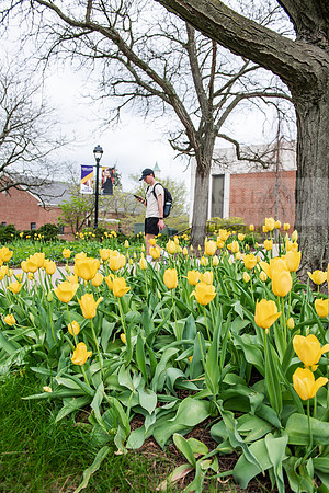 SpringCampusFinalsWeek0425AWB_0463