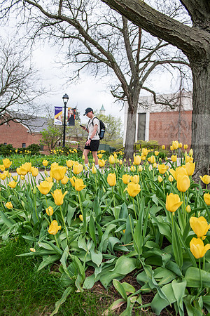 SpringCampusFinalsWeek0425AWB_0464
