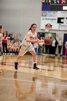 AUvTiffinWBball0217ALW_5043