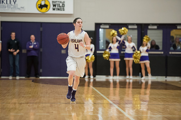 AUvTiffinWBball0217ALW_5150