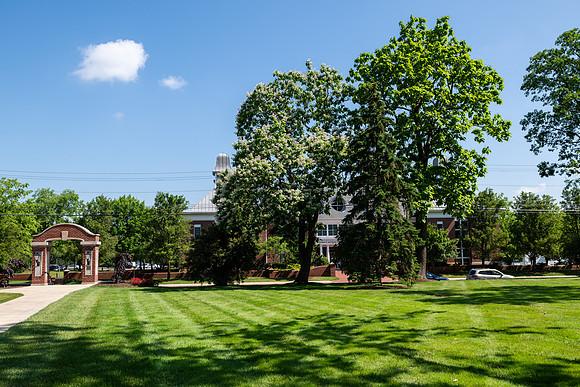 SummerCampusScenes0625AWB_0503