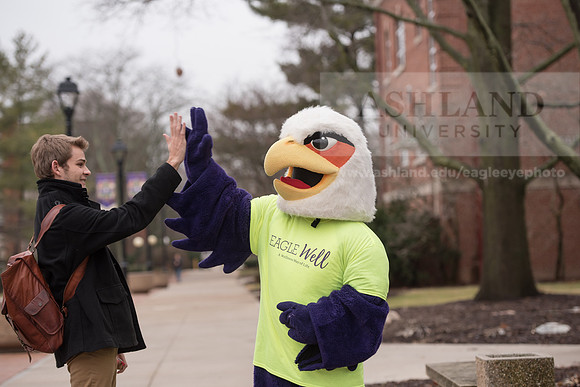 Tuffy - Campus Wellness Program
