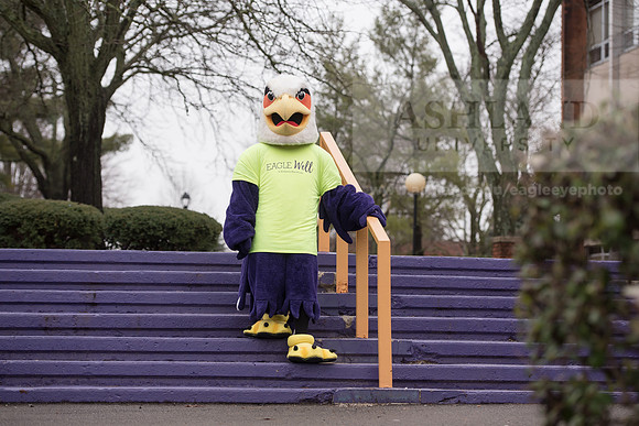 Tuffy - Campus Wellness Program
