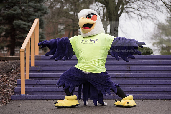 Tuffy - Campus Wellness Program