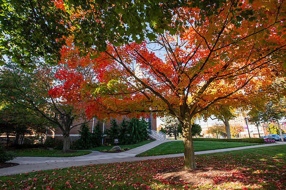 FallCampusLife1024AWB_5112