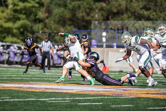 HomecomingAUvTiffinFtball1026AWB_3919