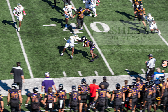 HomecomingAUvTiffinFtball1026AWB_3118