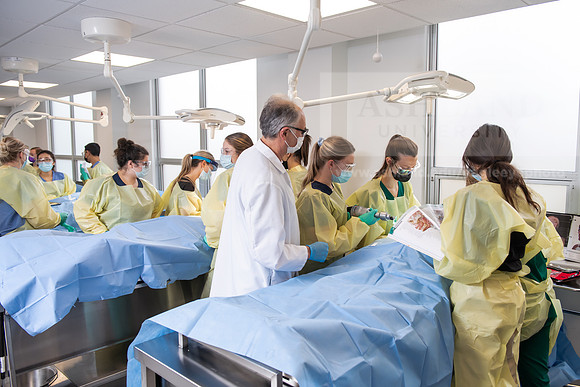PAProgramCadaverLab1221ALW_3956