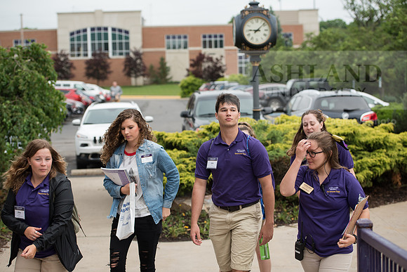 Orientation Number 2