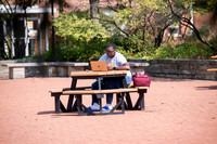 Fall 2020, Students on Campus, COVID-19