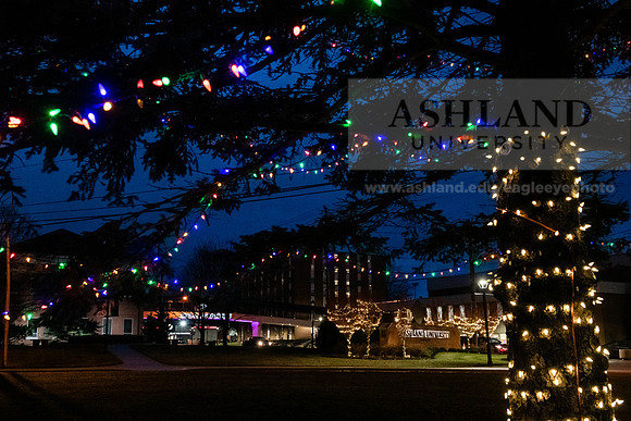 ChristmasDecorations1224AWB_5428