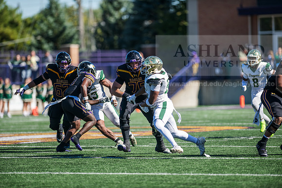 HomecomingAUvTiffinFtball1026AWB_3987
