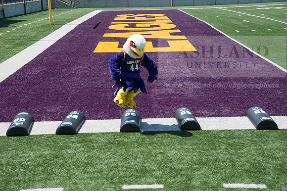 Tuffy Preparing for Marathon