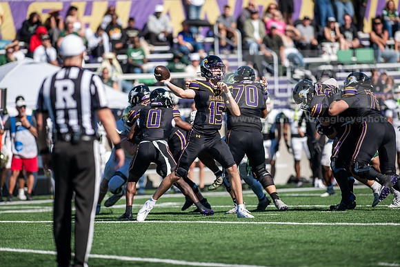 HomecomingAUvTiffinFtball1026AWB_3982