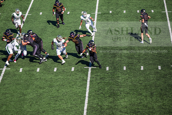 HomecomingAUvTiffinFtball1026AWB_3196