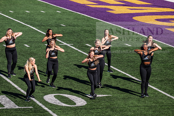 HomecomingAUvTiffinFtball1026AWB_3405
