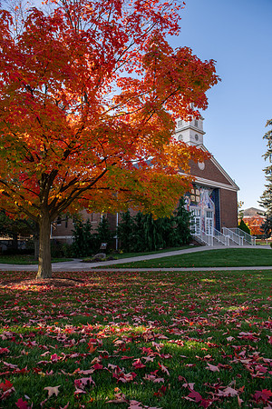 FallCampusLife1024AWB_5045