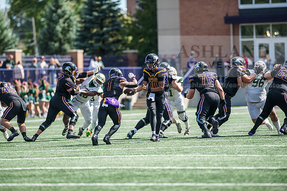 HomecomingAUvTiffinFtball1026AWB_3854