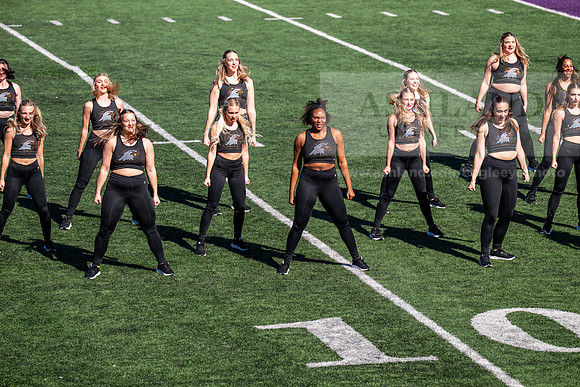 HomecomingAUvTiffinFtball1026AWB_3318