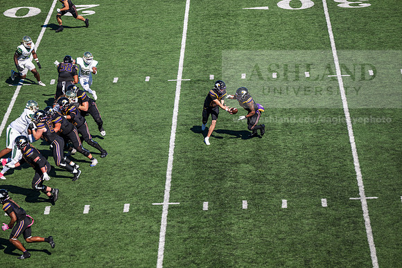 HomecomingAUvTiffinFtball1026AWB_3191
