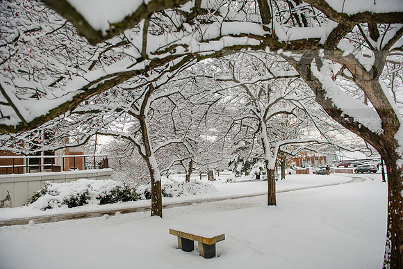WinterCampusLife0123ALW_2979