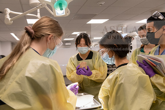 PAProgramCadaverLab1221ALW_3641