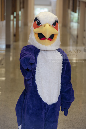 Tuffy0416ALW_1049